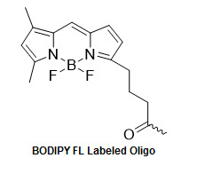 Bio-Synthesis Inc. Oligo Structure